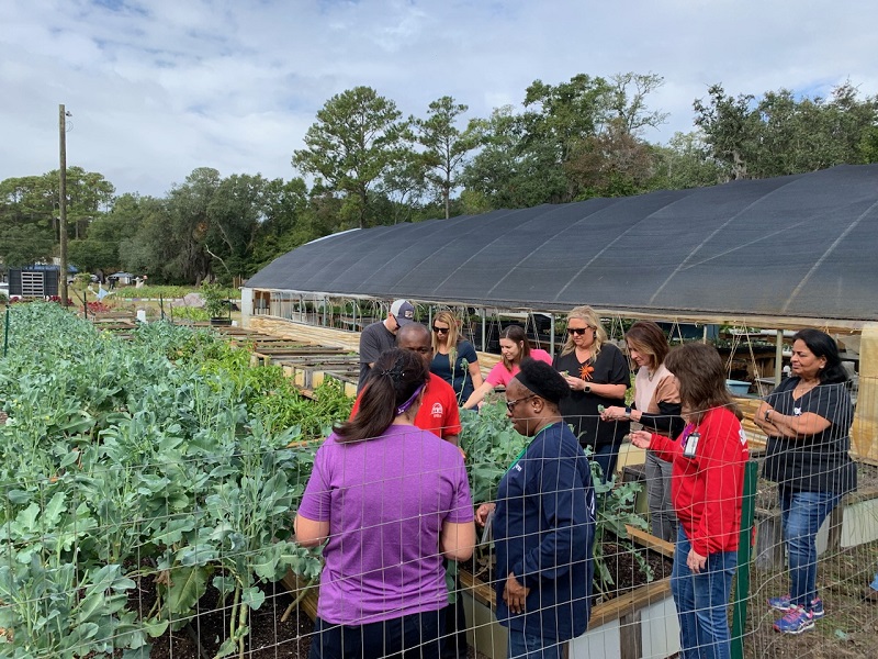 Pawleys Island Community Garden