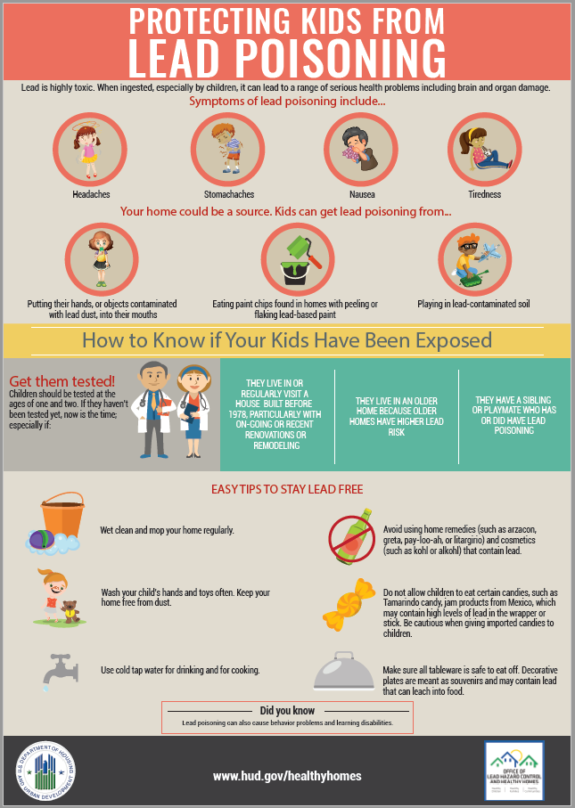 Lead Poisoning Infographic