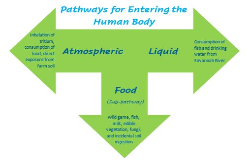 SRS - Critical Pathways & Dose Image